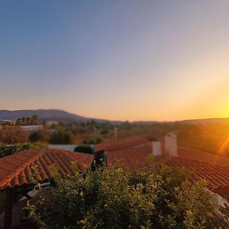 New Olivka House Villa Anávyssos Eksteriør bilde